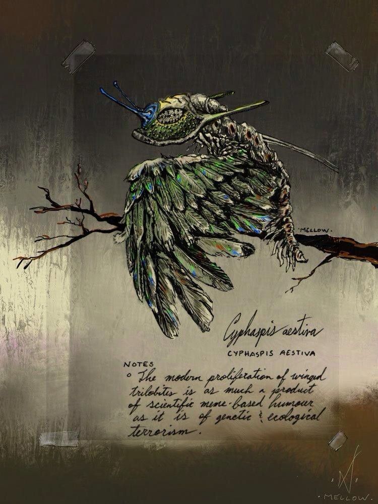Parrot-Winged Trilobite from “A Field Guide to Flying Trilobites”. 

Ink drawing with digital paint (ArtRage). 
Green feathery winged trilobite perched on a branch, with some field notes in cursive below. Neutral background, except the trilobite appears to be on vellum taped to the page. That’s a trompe d’œil effect, I painted on. 
#sciart 