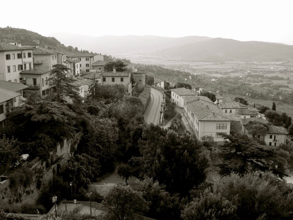 Monochromatic photo of buildings on the hillside of Cortona, Italy with hills in the distance.