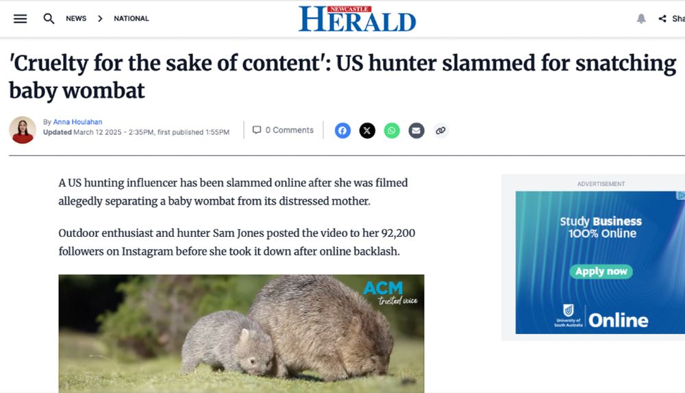 Screenshot of a newspaper article about an American hunter who chased and snatched a baby wombat from its mother in Australia, laughing about it the whole time.
