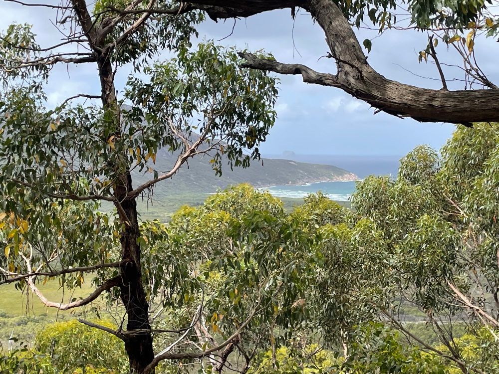 Wilson’s Promontory Victoria Australia