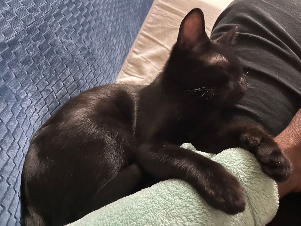 Mr. Mann, a/k/a Ving, maxing & relaxing