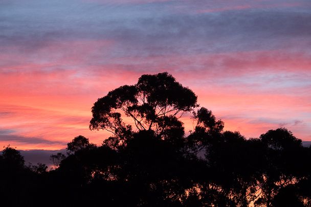 Red sunrise on the morning of the July 19, 2025 state election.