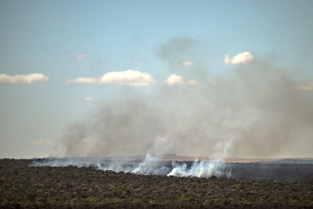 Brasil arde, Lula es débil y el mundo debería temblar | Columna