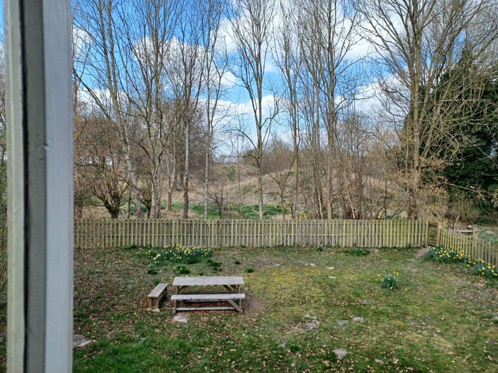 Looking through trees to New King Barrows Bronze Age burial mounds in the Stonehenge Landscape. With picnic table and bench in the foreground