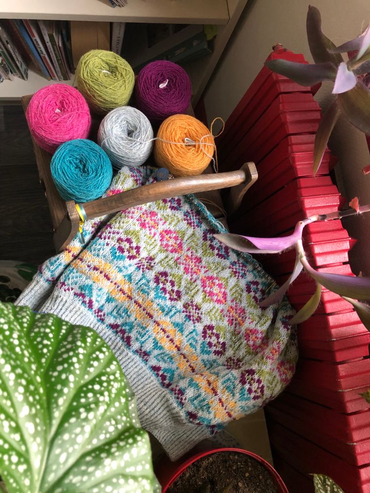 Pull Olivia de Alice Hammer en cours de tricotage. Pull jacquard 