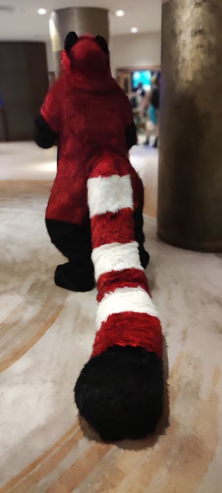Red panda fursuit with a huge tail