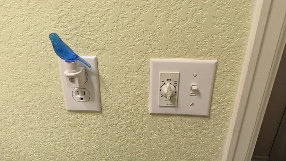 A blue canary in the outlet by the light switch.