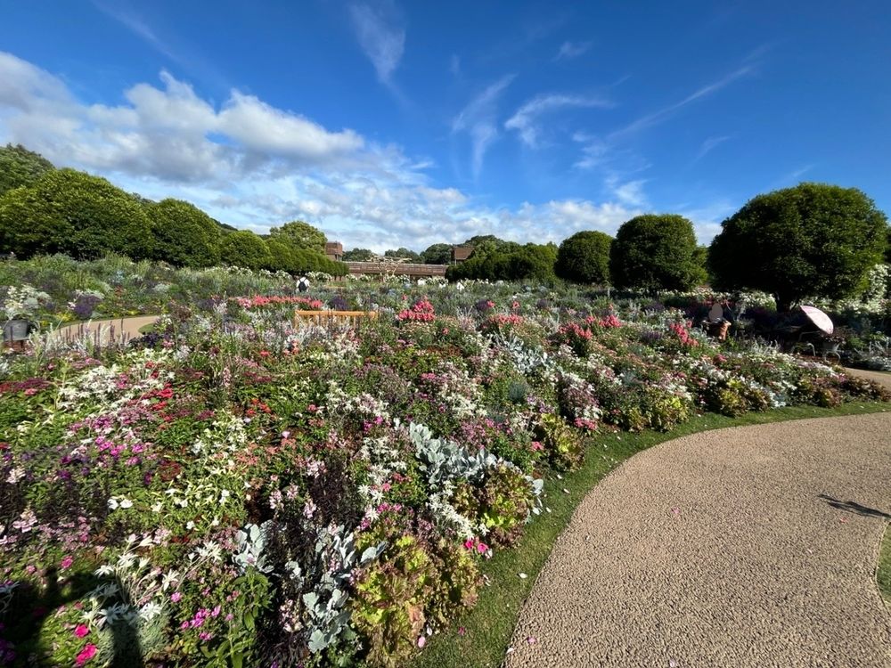 広いガーデンに、グリーンを中心としたハーブ、花などが植えられている