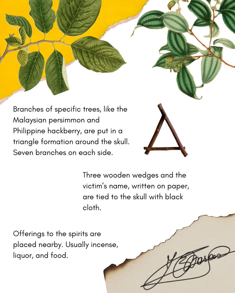 Branches of specific tree, like the Malaysian persimmon and Philippine hackberry, are put in a triangle formation around the skull. Seven branches on each side. Three wooden wedges and the victim's name written on paper are tied to the skull with black cloth.

Offerings to the spirits are placed nearby. Usually incense, liquor, and food.