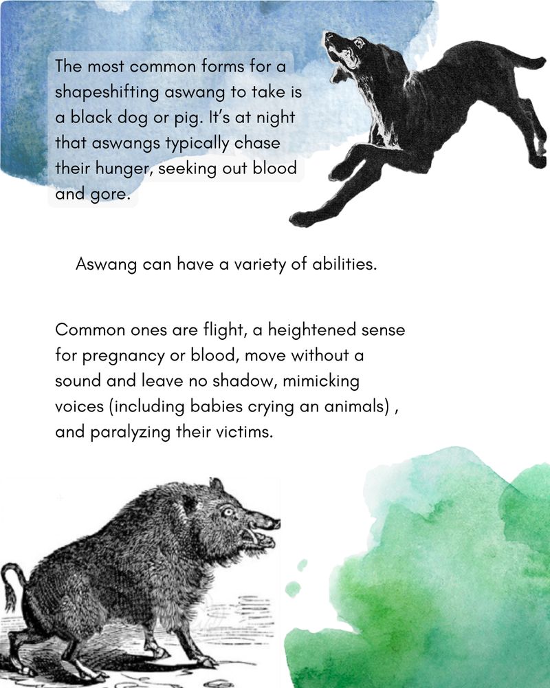 The most common forms for a shapeshifting aswang to take is a black dog or pig. It's at night that aswangs typically chase their hunger, seeking out blood and gore. 

Aswang have a variety of abilities. 

Common ones are flight, a heightened sense for pregnancy or blood, moving without a sound and leaving no shadow, mimicking voices (including babies crying), and paralyzing their victims. 