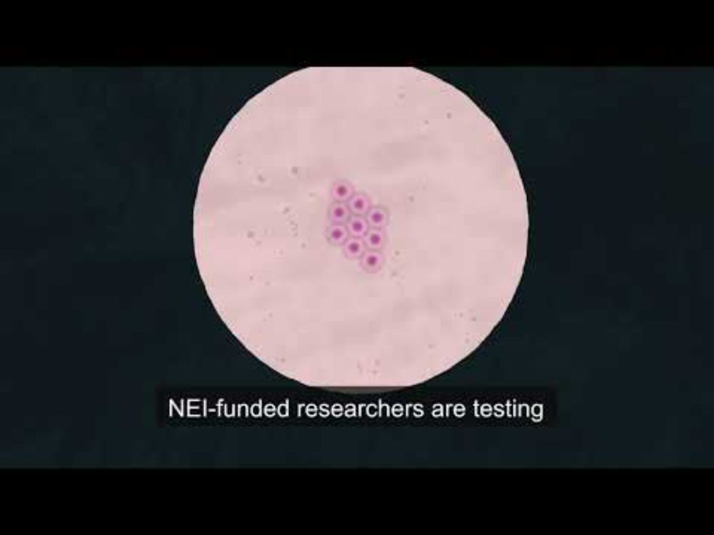 Using stem cells to treat corneal injury