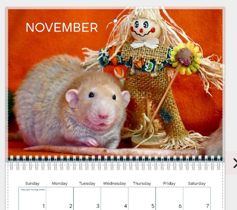 November page of calendar featuring orange rat with scarecrow