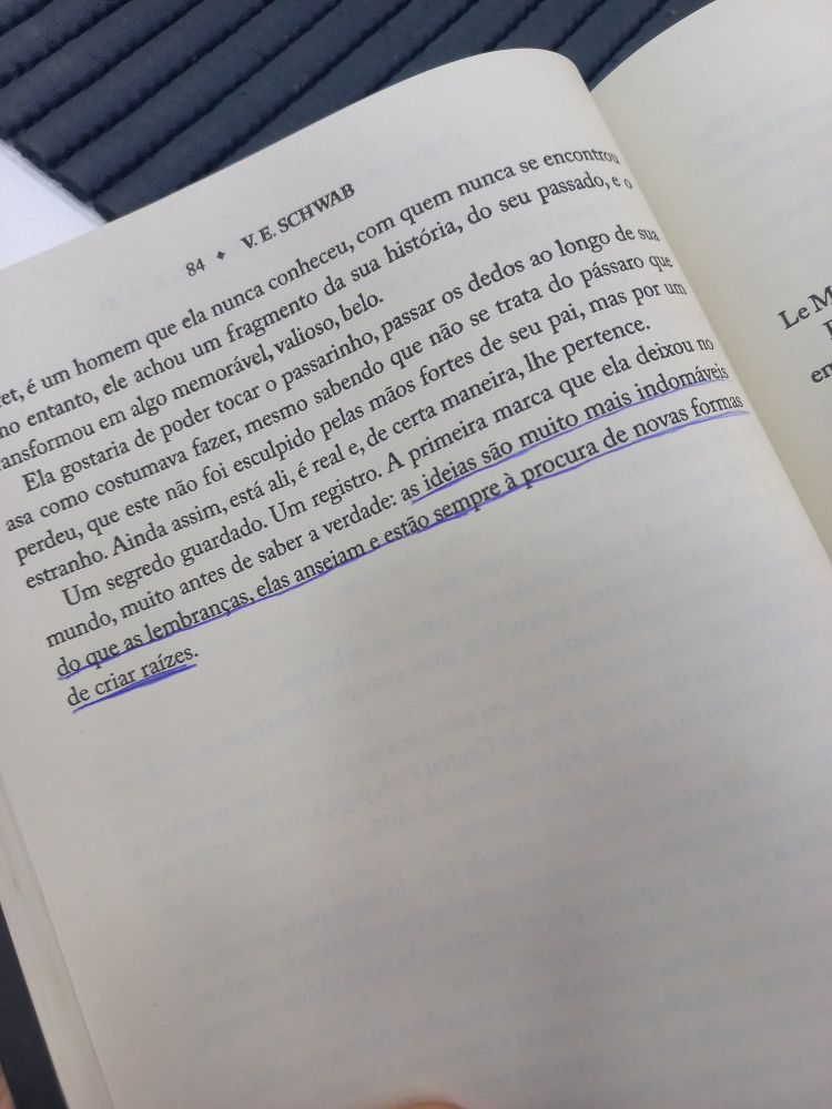 Foto da pagina 84 de Addie LaRue, escrito por V.E Schwab

Trecho sublinhado: "... as ideias são muito mais indomaveis do que as lembranças, elas anseiam e estão sempre a procura de novas formas de criar raízes."