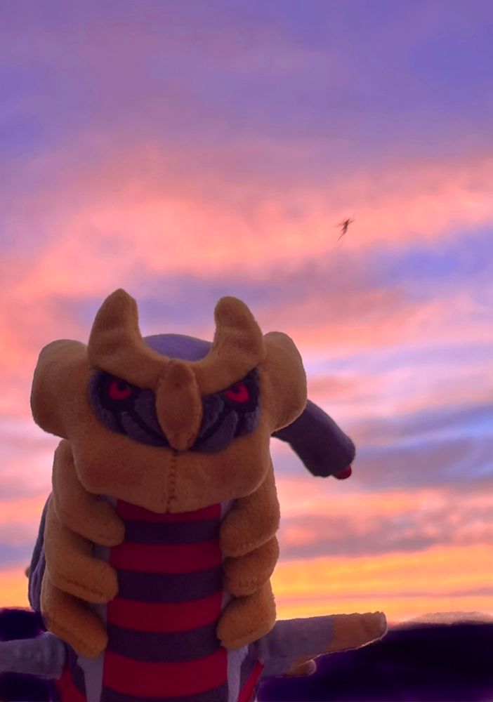 ギラティナと夕焼けの写真。
薄紫色の空に浮かぶ雲に太陽の光が反射して赤く見える。
ギラティナの右上にはピンボケした蚊が写り込んでいる。