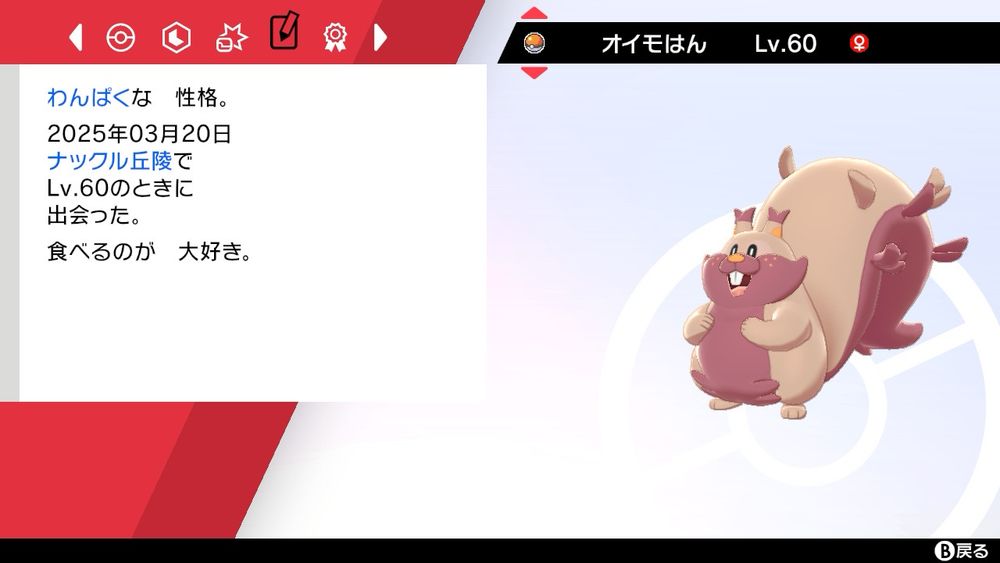 色違いのヨクバリスのオイモはん。通常個体のヨクバリスより薄い色で、尻尾の裏と髭のような毛の部分は赤みがかった紫色をしている。