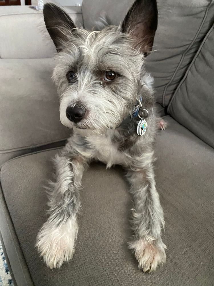 León looking coy af