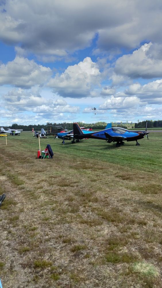 Blackving litet smäckert plan snyggt lackerat i blått och svart