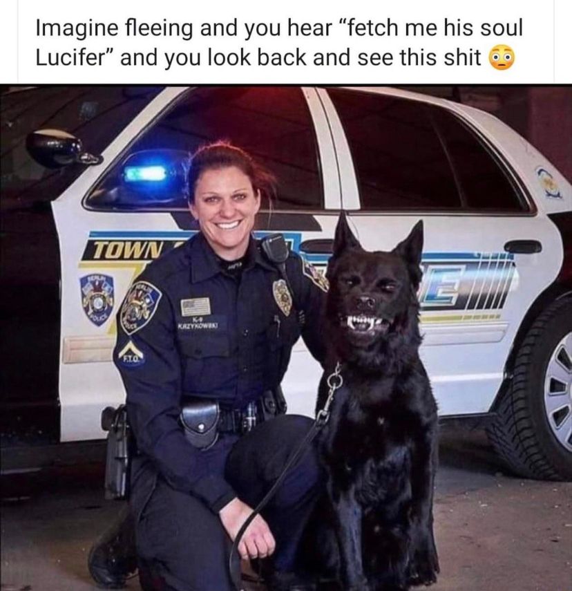 A photo of a female K9 Handler Police Officer & her large, black King Shepherd partner, both smiling for the camera. The caption reading: “Imagine fleeing and you hear “Fetch me his soul, Lucifer”, then look back and see THIS shit.”