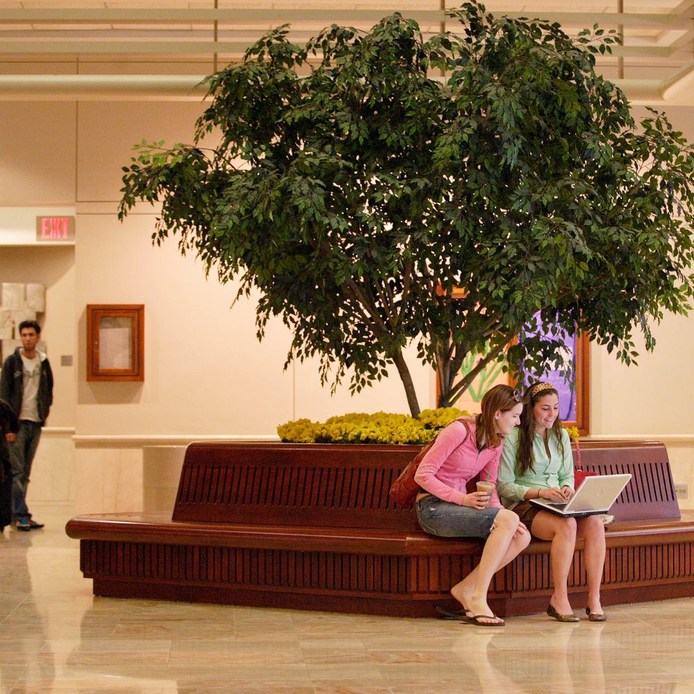 two students sitting in the atrium in the early 2010s focused on a laptop, on a bench with a tree