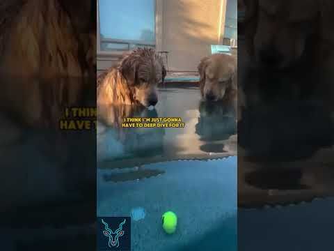 YouTube video by Kuudus