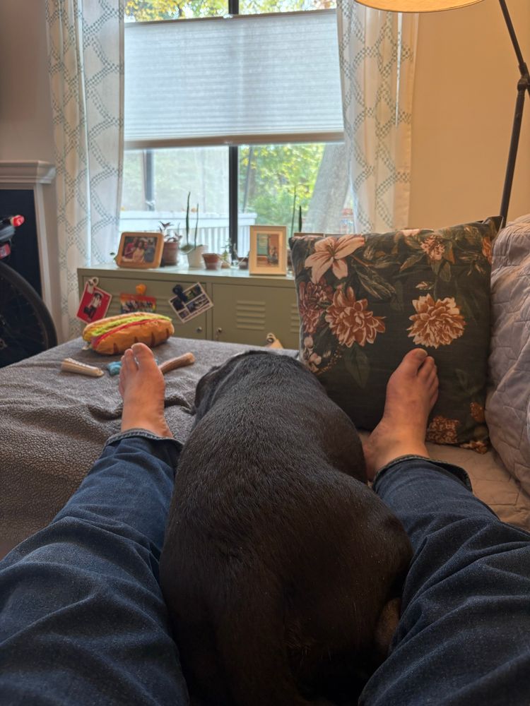 Same pibble napping between my legs 