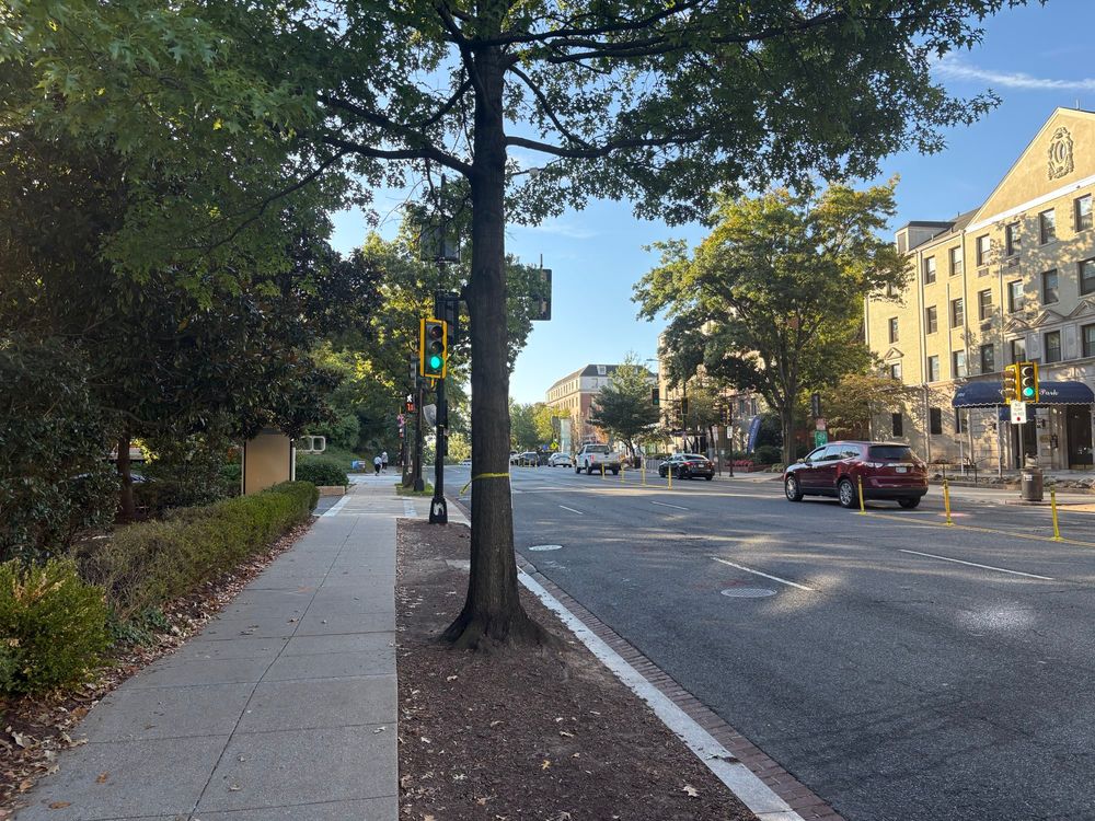 Cleveland/Woodley Park area outside the national zoo, with some tall buildings (for DC) 