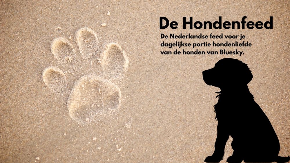 Afdruk van een hondenpoot in zand, met daarnaast een zwarte silhouet van een zittende hond. Rechtsboven staat in grote zwarte letters: "De Hondenfeed". Daaronder in kleinere letters: "De Nederlandse feed voor je dagelijkse portie hondenliefde van de honden van Bluesky." De achtergrond is volledig zandkleurig, alsof het op een strand is.