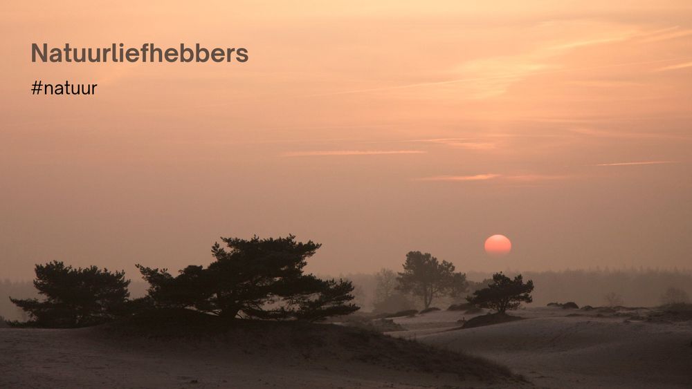 Zandduinen met bomen bij zonsondergang. De lucht is zacht oranje en roze gekleurd door de ondergaande zon, die laag aan de horizon staat. Op de voorgrond zijn donkere silhouetten van enkele bomen en glooiende zandduinen zichtbaar. Links bovenin staat de tekst: Natuurliefhebbers. Daaronder staat: #natuur. De sfeer is rustig en sereen.