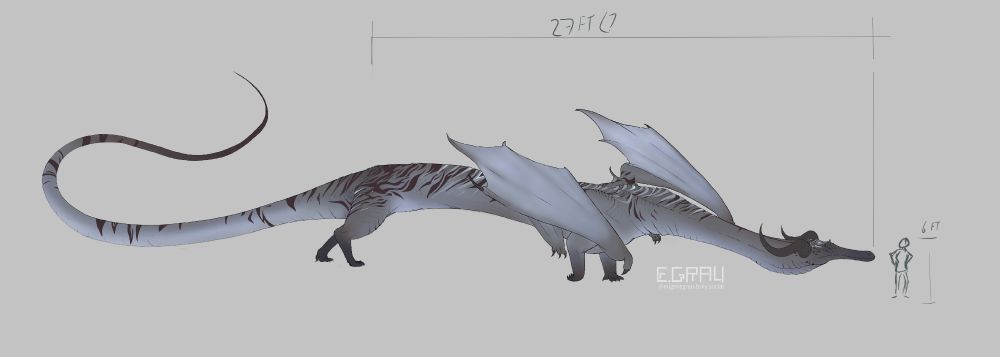 Large striped dragon 