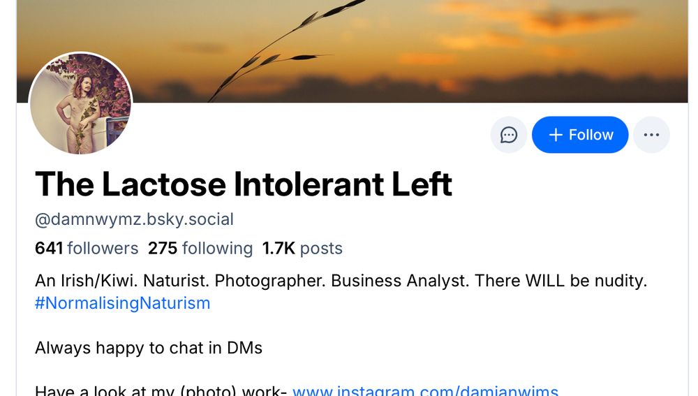 This is a profile on bsky from @Damnwymz.bsky.social.  The profile is described as a naturist profile with the persons instagram in the caption as www.instagram.com/damianwims