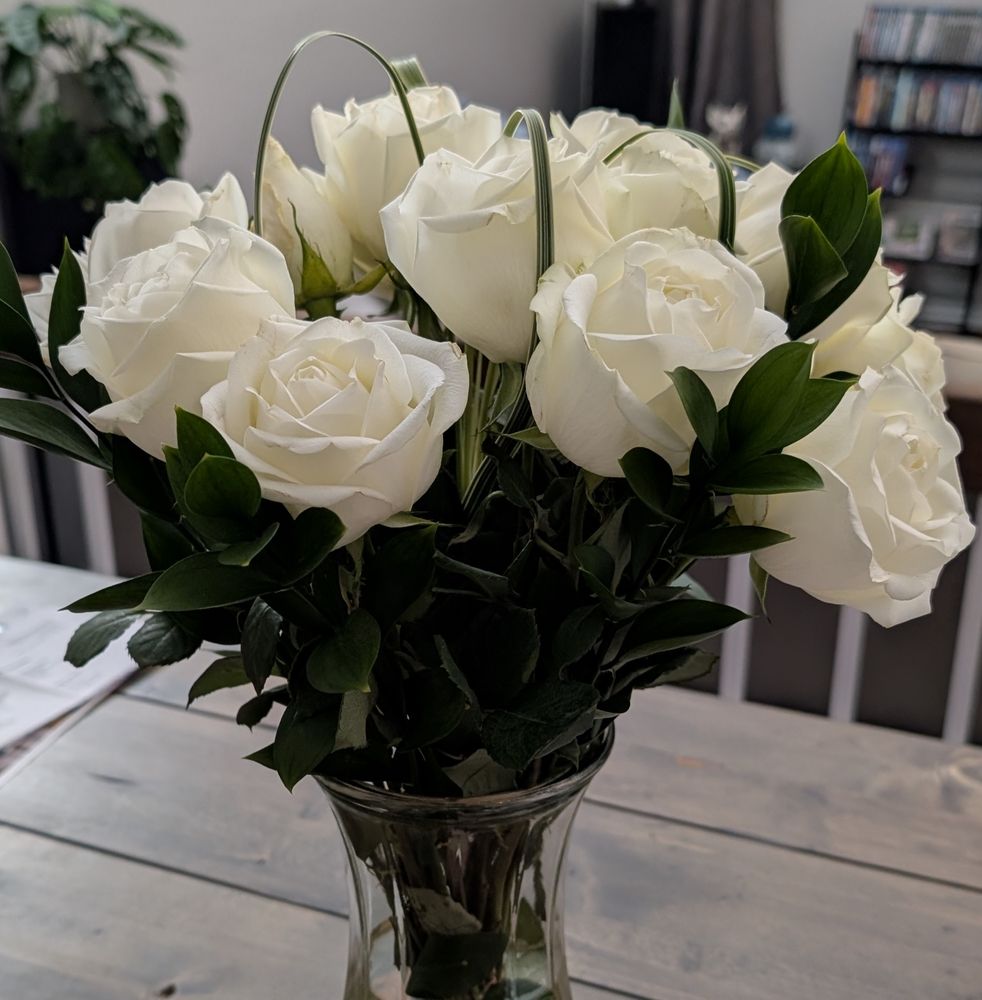 White roses in a vase, green leaves