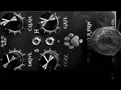The Really Good Pedal Co. The Silver Paw - bass demo