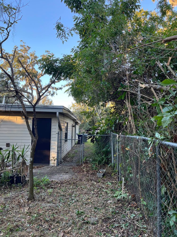 After shot of all the branches gone 