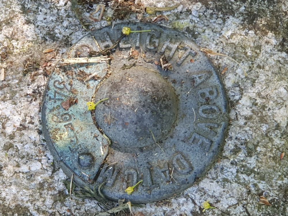 Metal bolt inscribed HEIGHT ABOVE DATUM 234.95 FT