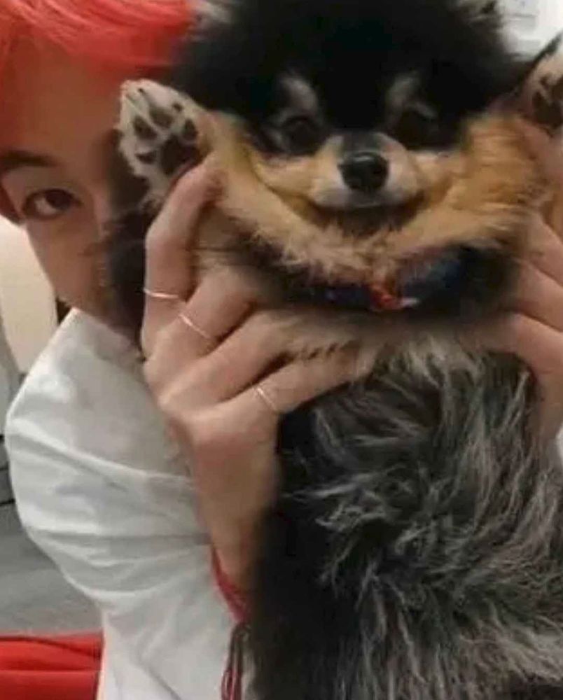 Red head Taehyung holding up Yeontan - the most patient of boys, yes? 