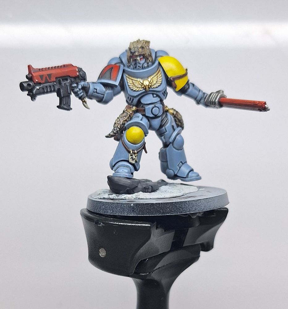 A spacewolves grey Hunter with bolter and chainsword front profile pic 