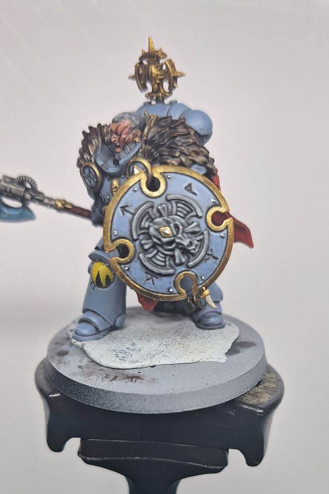Side profile pic showing the shield 