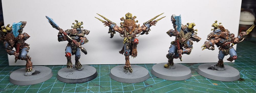 Second picture of all 5 wulfen 