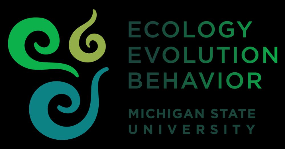 Swirly e. e. b. logo for Ecology, Evolution & Behavior at Michigan State University