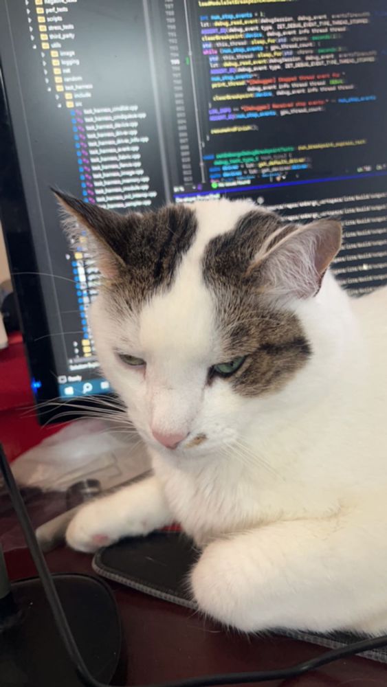 very tired looking cat with eyes half opened on a desk in front of a monitor showing code.