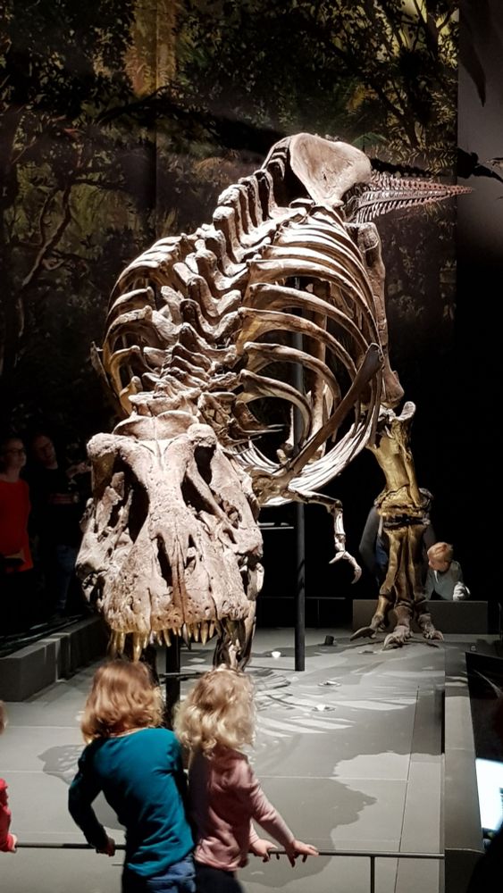 Trix in museum Naturalis, Leiden 