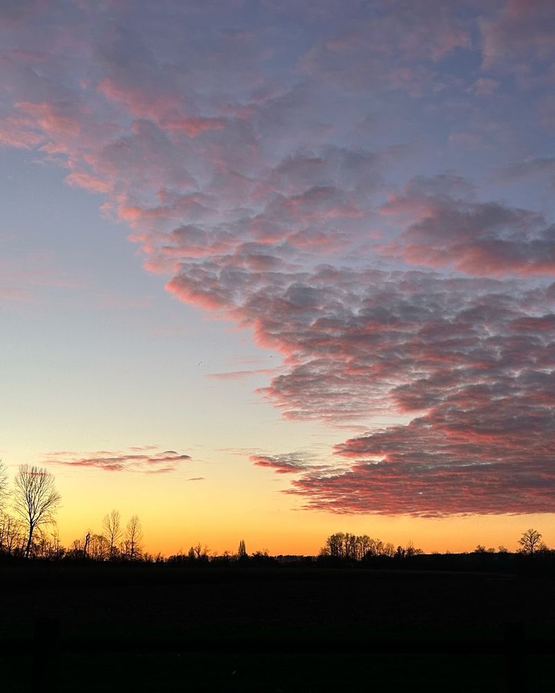 Sunset view of a field in Skagit Valley
