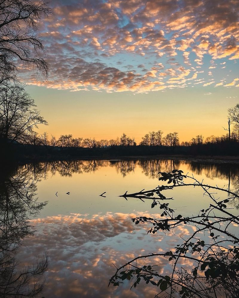 Sunset view of a pond in Skagit Valley