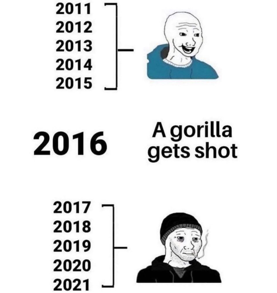 A text meme describing how the years after Harambe getting shot feel significantly worse than the years before.