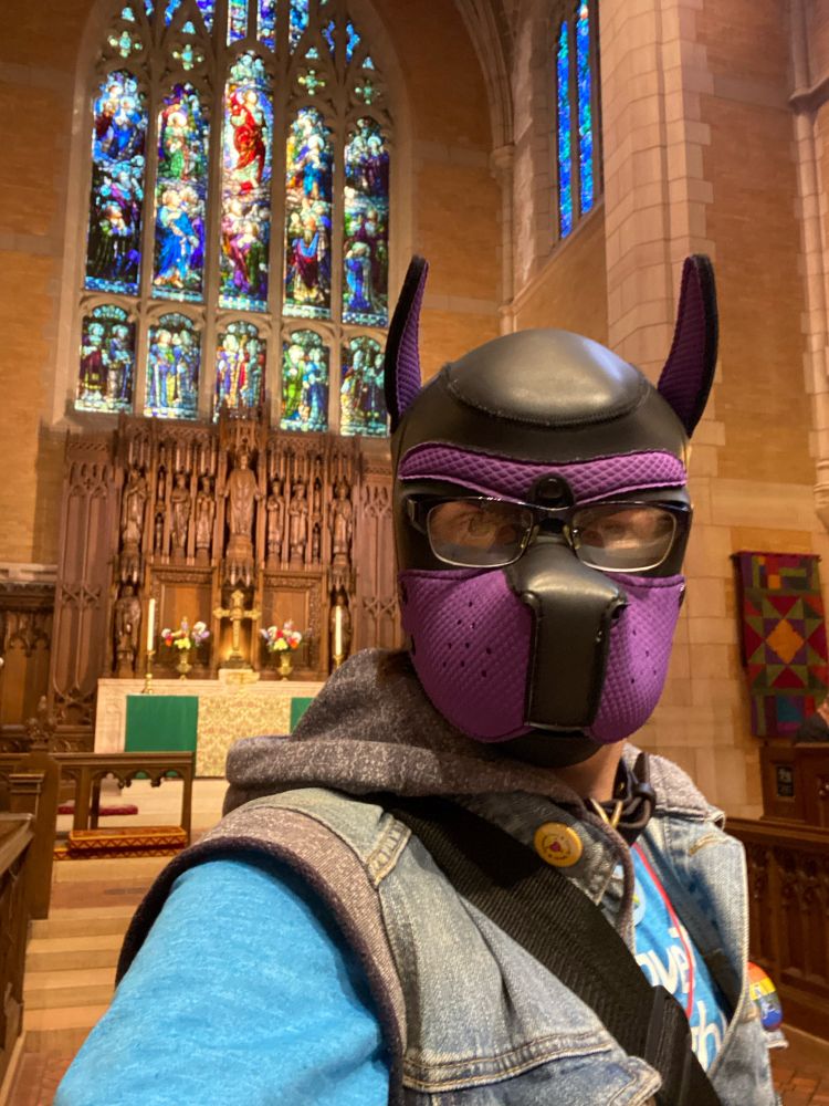 Mea and Mal cofronting in Saint Mark’s Episcopal Cathedral in Minneapolis. It’s standing between the choir benches looking out at the nave. Behind it is the alter and large stained glass window. It’s wearing a blue shirt, a blue denim vest, a bag slung around a shoulder, a brown and blue collar, and a purple and black pup hood