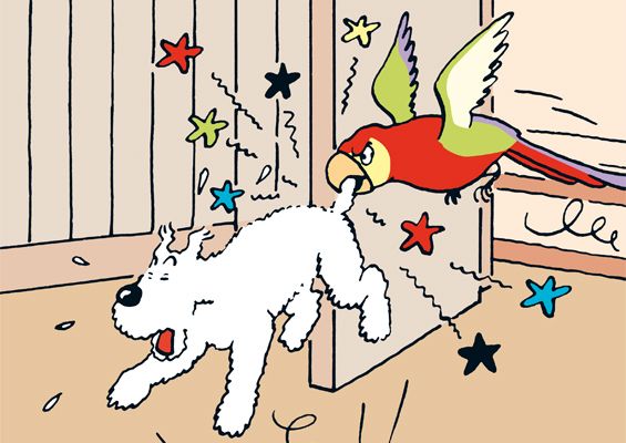 Case de BD, Milou se faisant bouffer la queue par un perroquet.