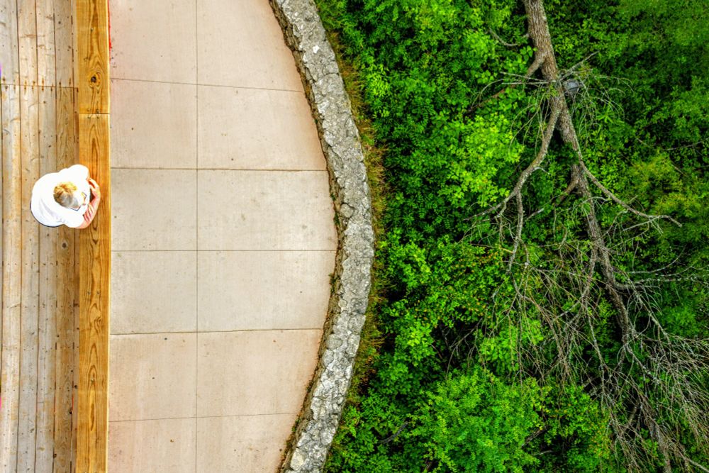 A visitor enjoys the view from Eagle Tower in Peninsula State Park, Wisconsin. Photo taken vertically, from top to bottom at a height of about 20 meters. On the left of the image the head and upper body of a woman are visible, while she leans on the fence. On the right there is part of a concrete and stone deck, and then the forest, very green and lush, with a dead tree laying on its side. 