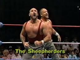 A tag team called The Sheepherders