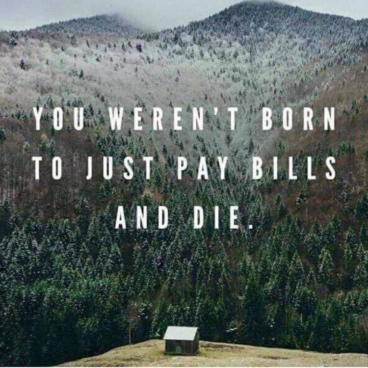 A beautiful mountain scene with meme text saying "You weren't born to just pay bills and die." 