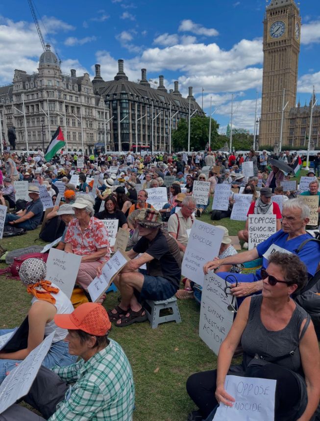 Sit in demonstration outside of parliament with activists holding "i support palestine action" signs